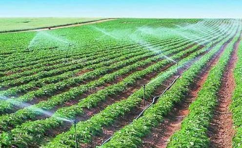 操b视频免费观看农田高 效节水灌溉